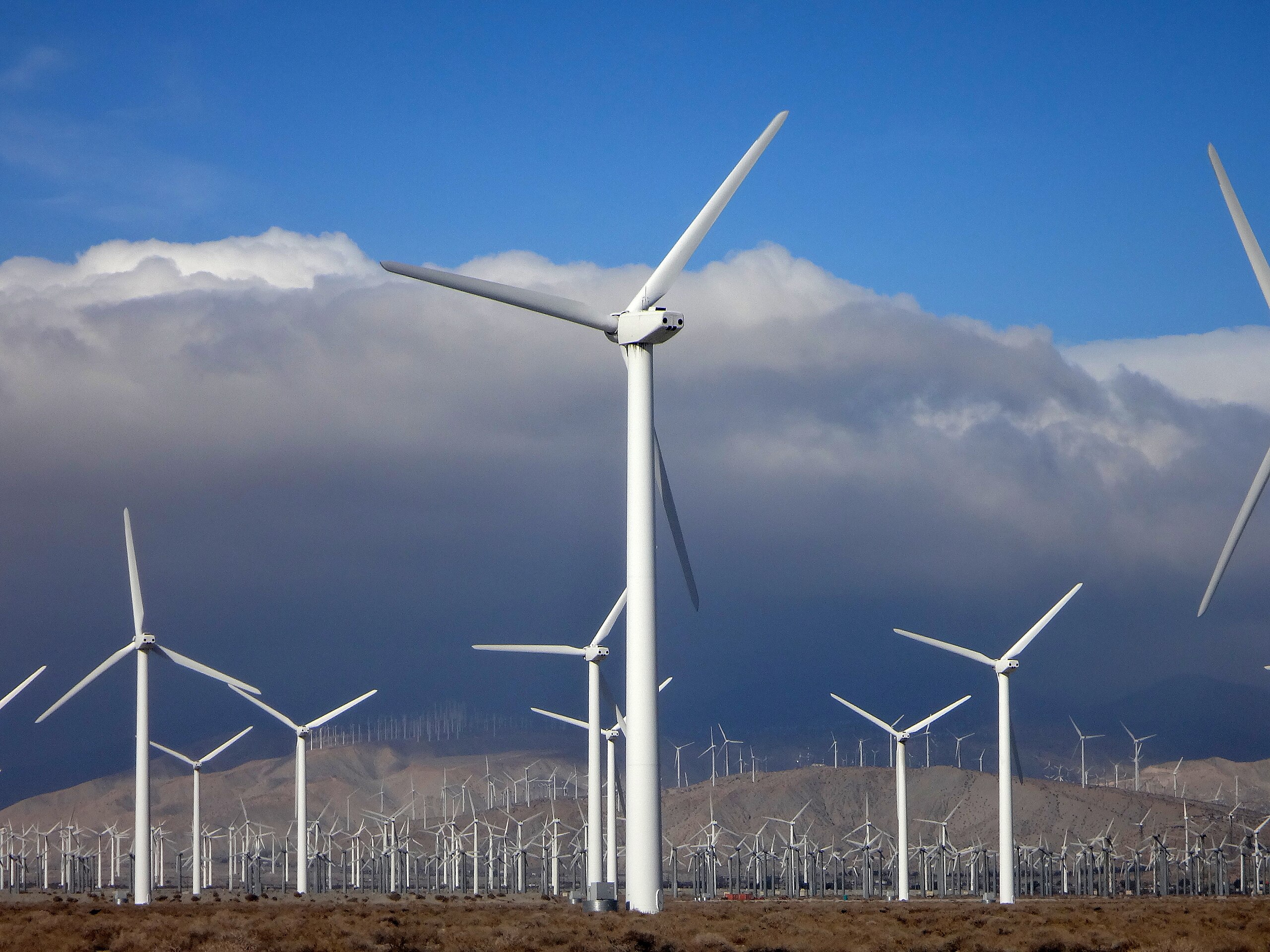 W energetyce wiatrowej straszy flauta 