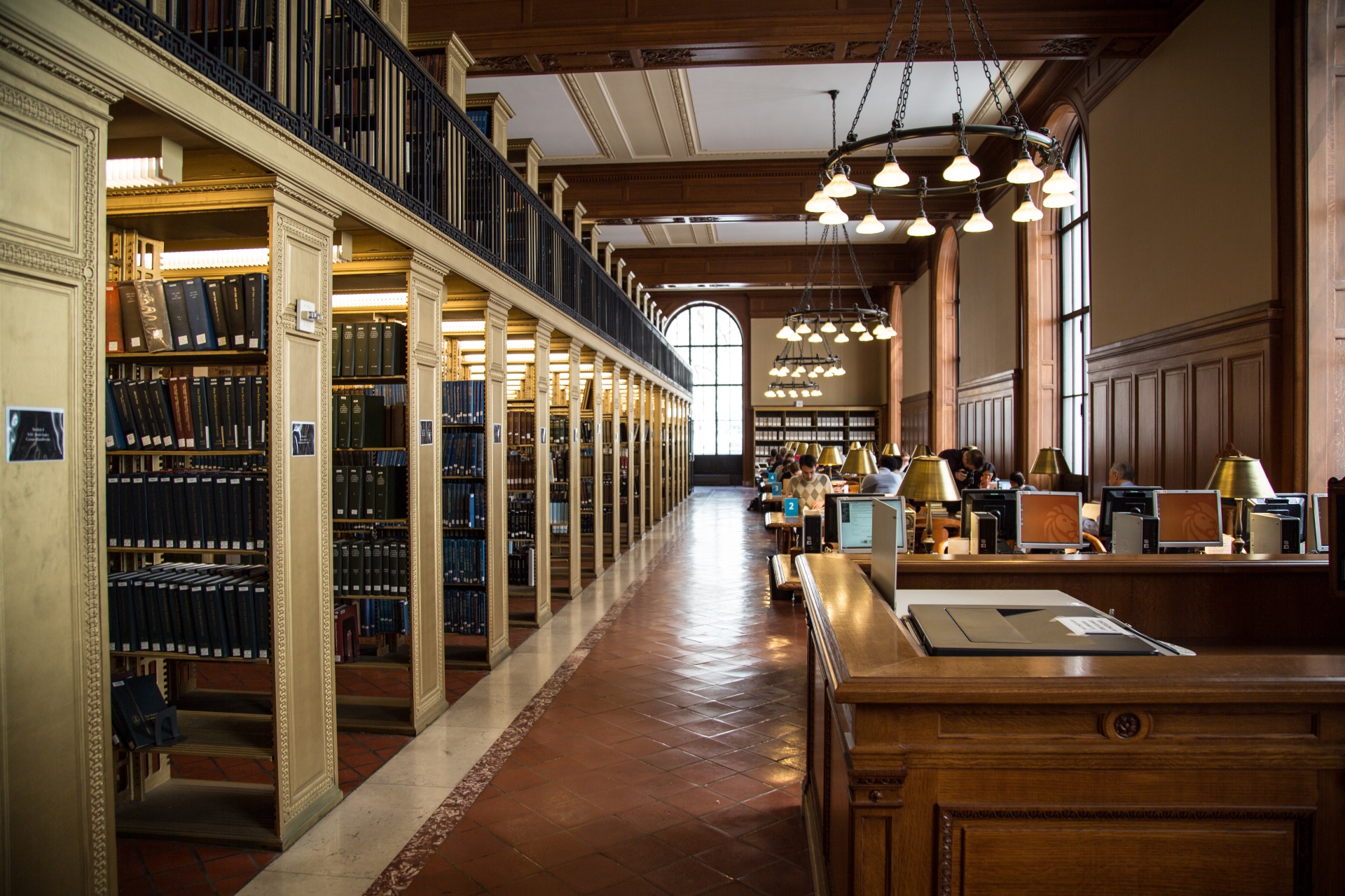 Biblioteka jako schron. Nowa rola książnic w erze katastrof klimatycznych